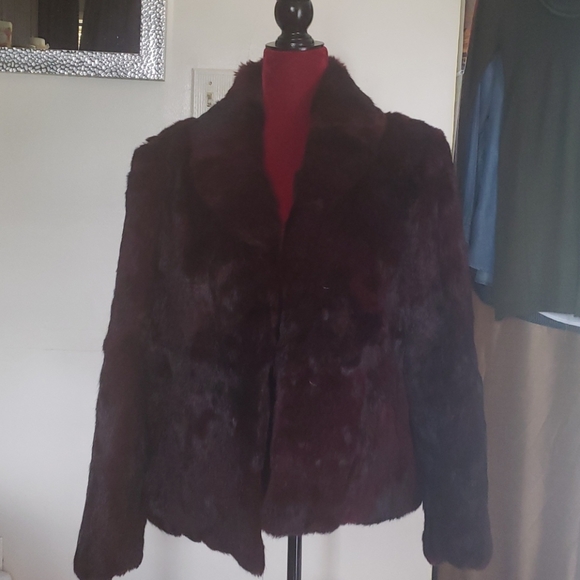 Burgundy rabbit hop length jacket - Picture 1 of 3